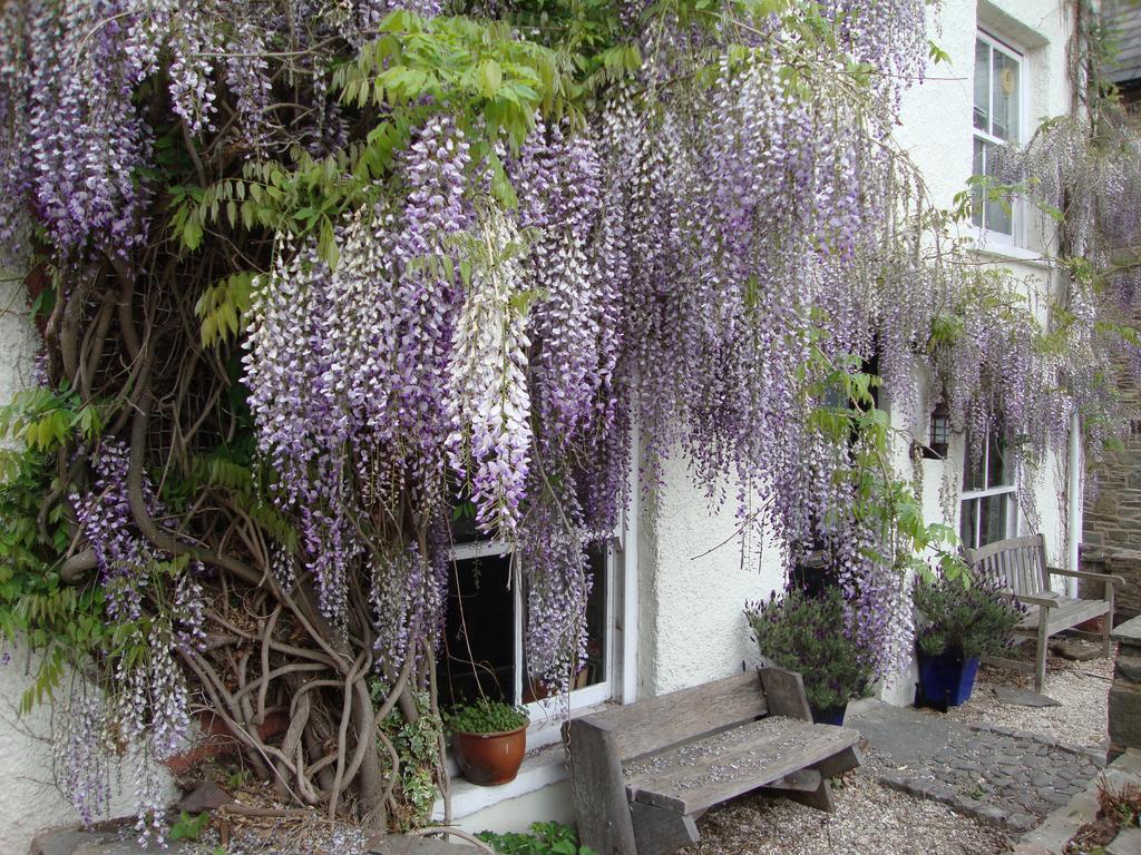 Half Moon House Apartment Hay-On-Wye Bagian luar foto